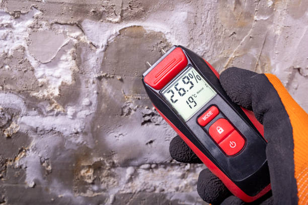 Best Water Damage Restoration  in Lockport Heights, IL